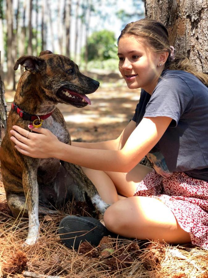 דירות גולד קוסט Beach Escape Magnesium Pool Dog Happy Gc Airport מראה חיצוני תמונה